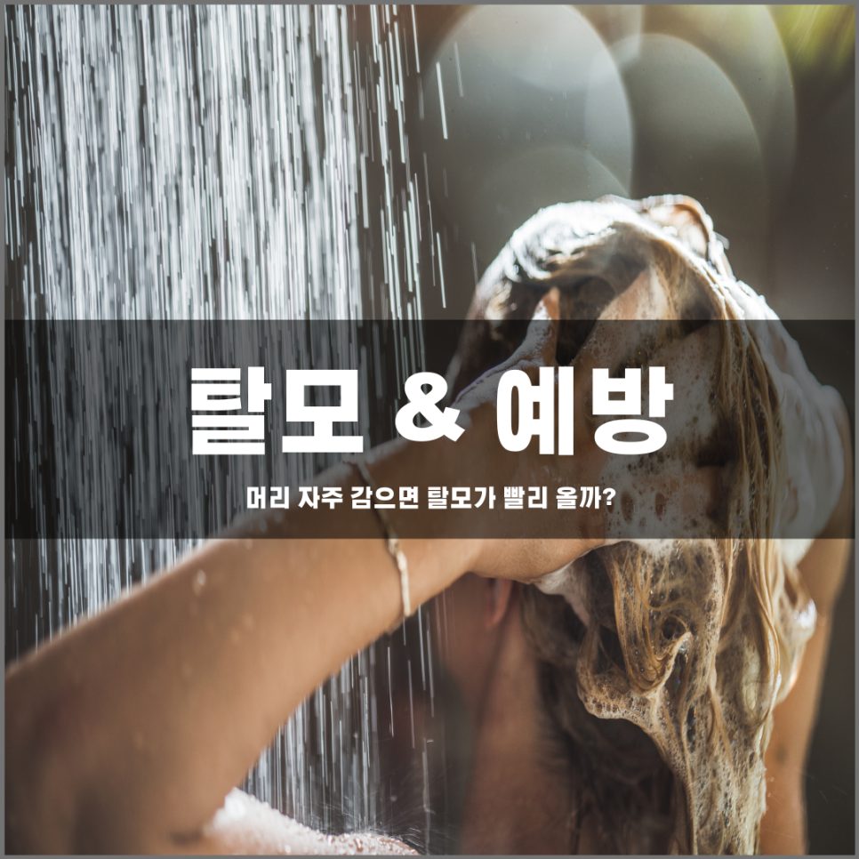 머리를 자주 감으면 탈모에 영향이 있을까?
