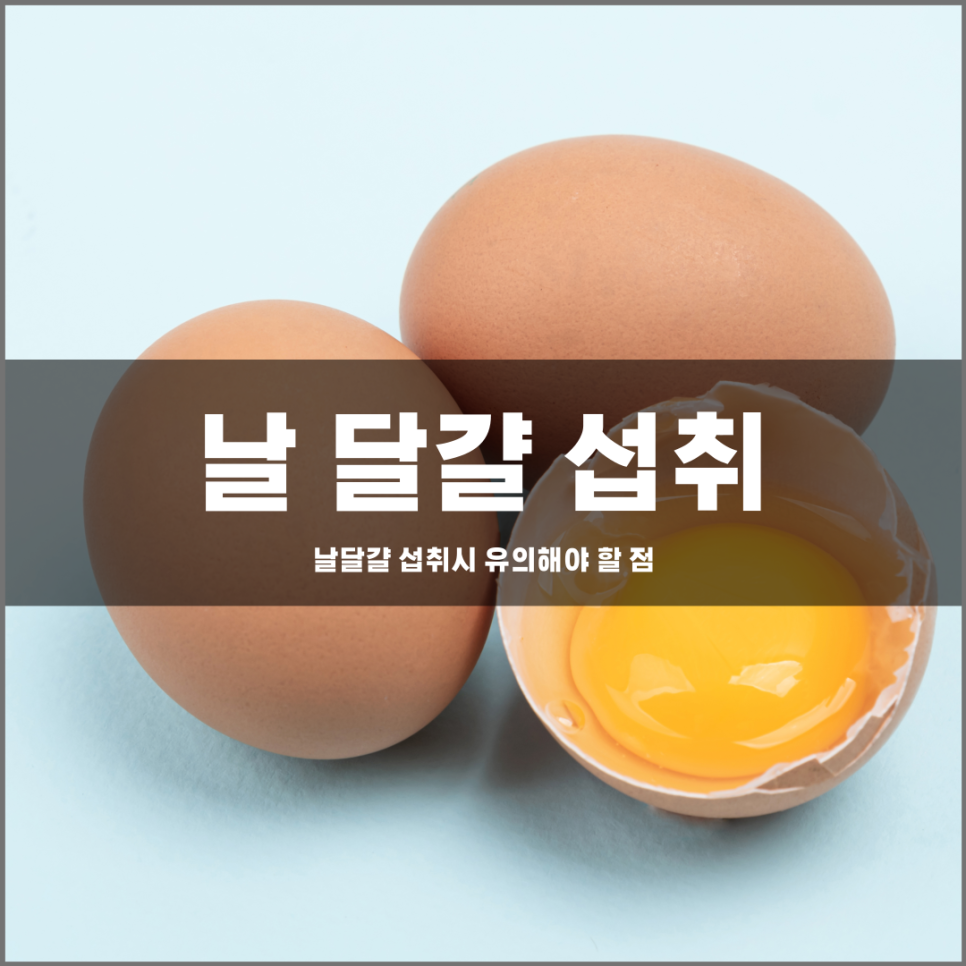 날달걀 섭취를 조심해야 하는 이유