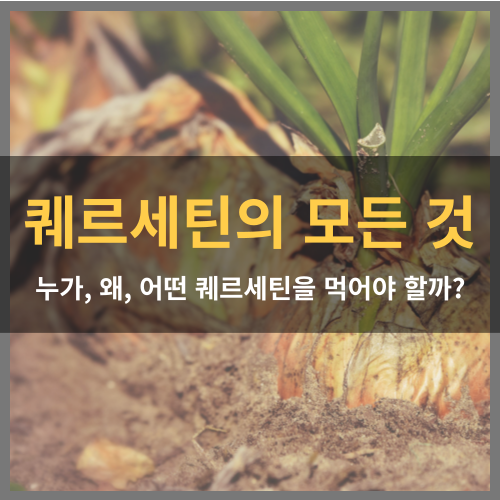 퀘르세틴의 모든 것: 누가, 왜, 어떻게 먹어야 할까?