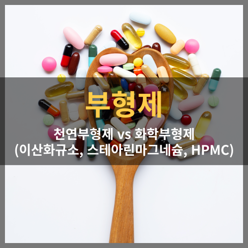 부형제: 천연 부형제 vs 화학 부형제(이산화규소, 스테아린마그네슘, HPMC)
