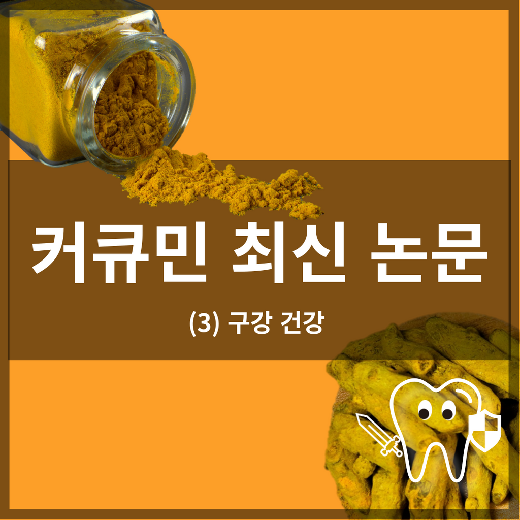 커큐민 최신 논문 3: 구강 건강