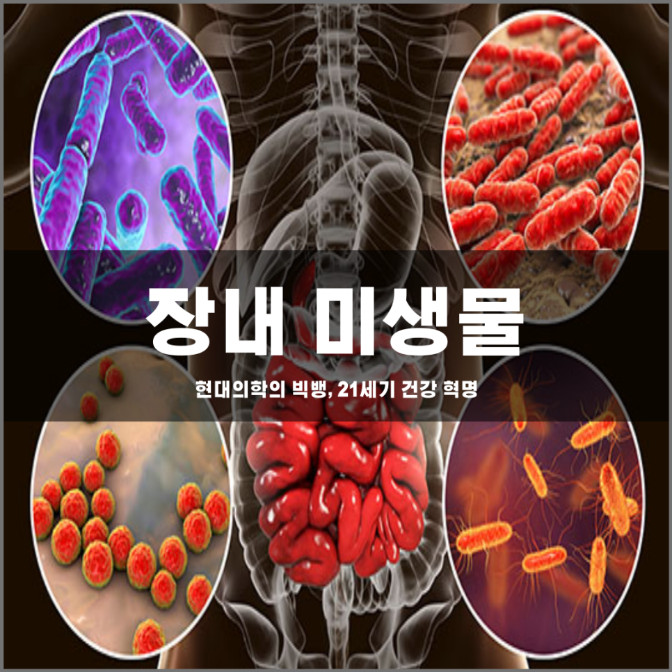 장내 미생물이 가져올 21세기 현대의학의 혁명
