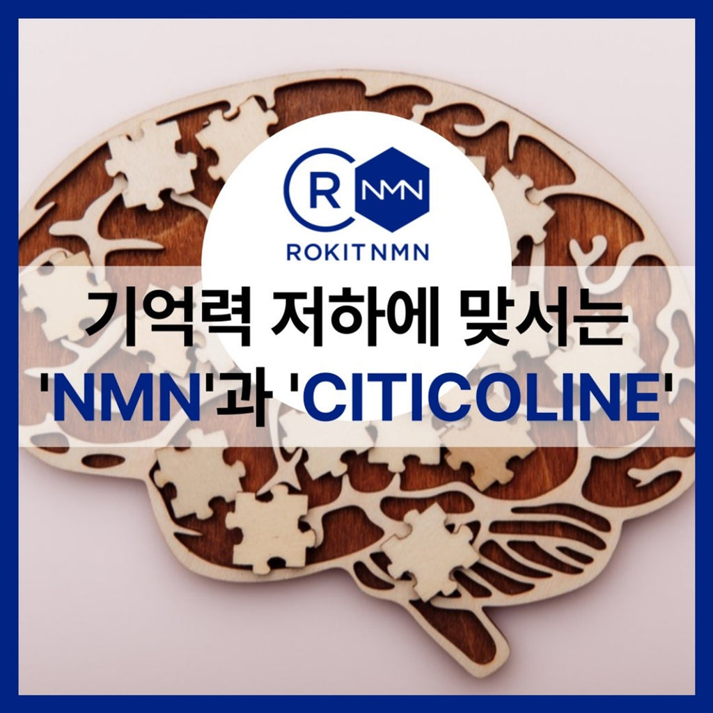 'NMN'과 '시티콜린'은 기억력 저하에 맞선다!