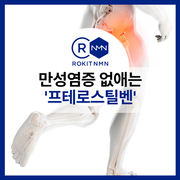 프테로스틸벤 만성염증 효과