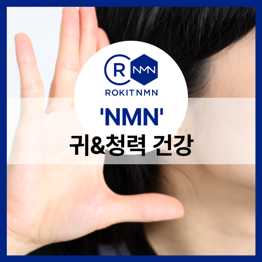 귀 건강을 지켜주는 NMN, 청력 손실까지 막아준다?