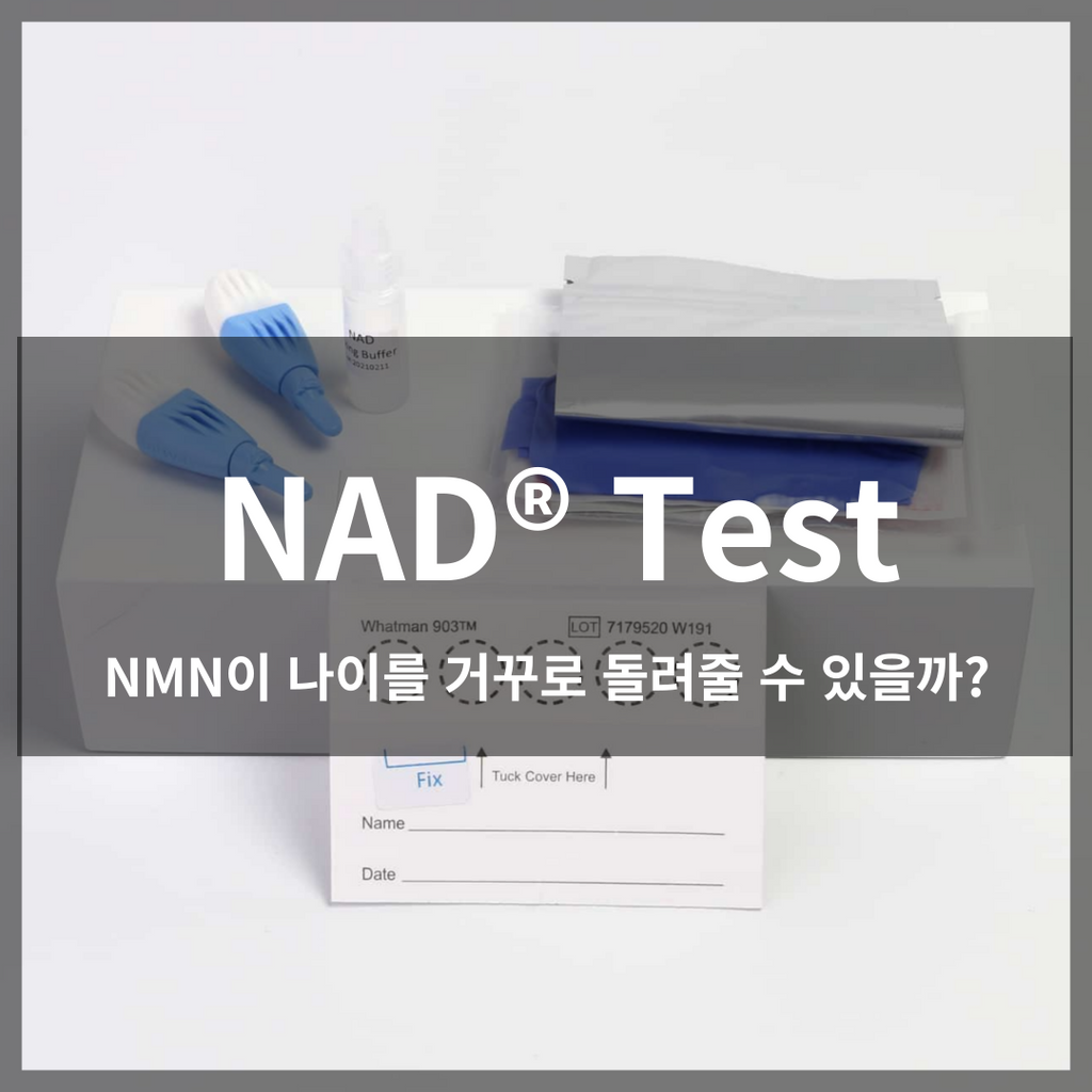 NMN이 나이를 거꾸로 돌려줄 수 있을까?