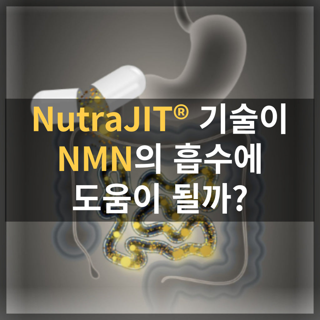 NutraJIT® 기술이 NMN의 흡수에 도움이 될까?