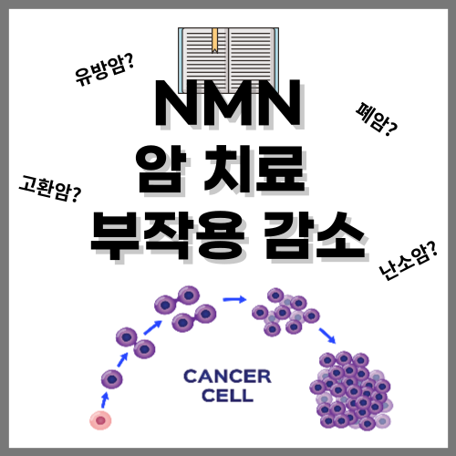NMN 암? NMN의 암 치료 부작용 감소