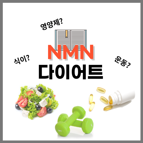 NMN효능, 다이어트에 좋은 NMN