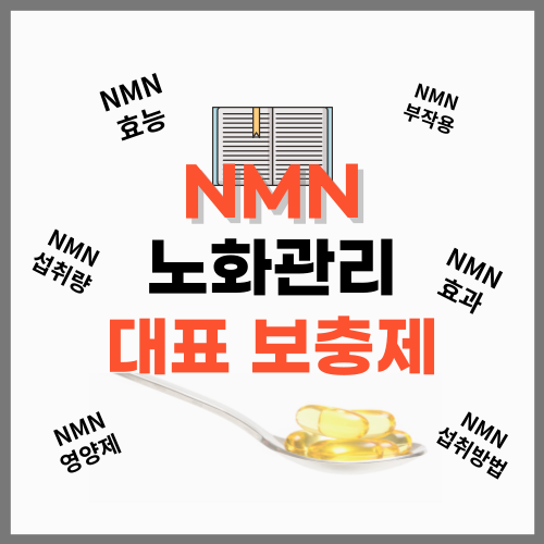 NMN영양제, 효능, 효과, 부작용, 섭취량, 섭취방법, 노화방지 대표 보충제