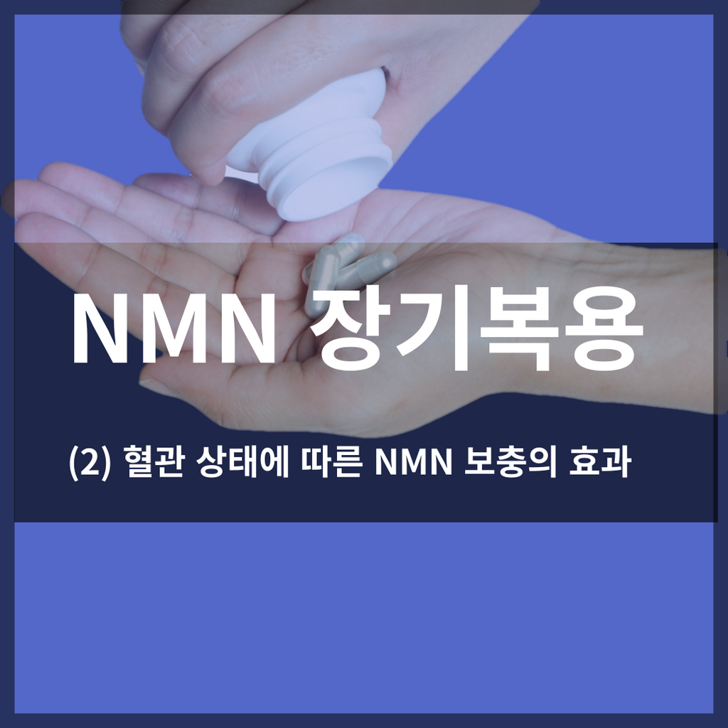 [NMN 장기복용 ②] 혈관 상태에 따른 NMN 장기복용의 효과