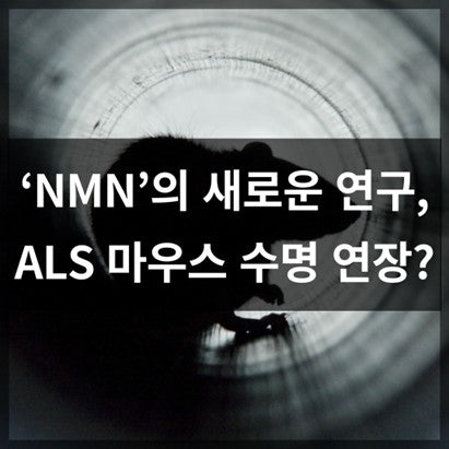 'NMN'의 새로운 연구, ALS 마우스의 수명 연장?