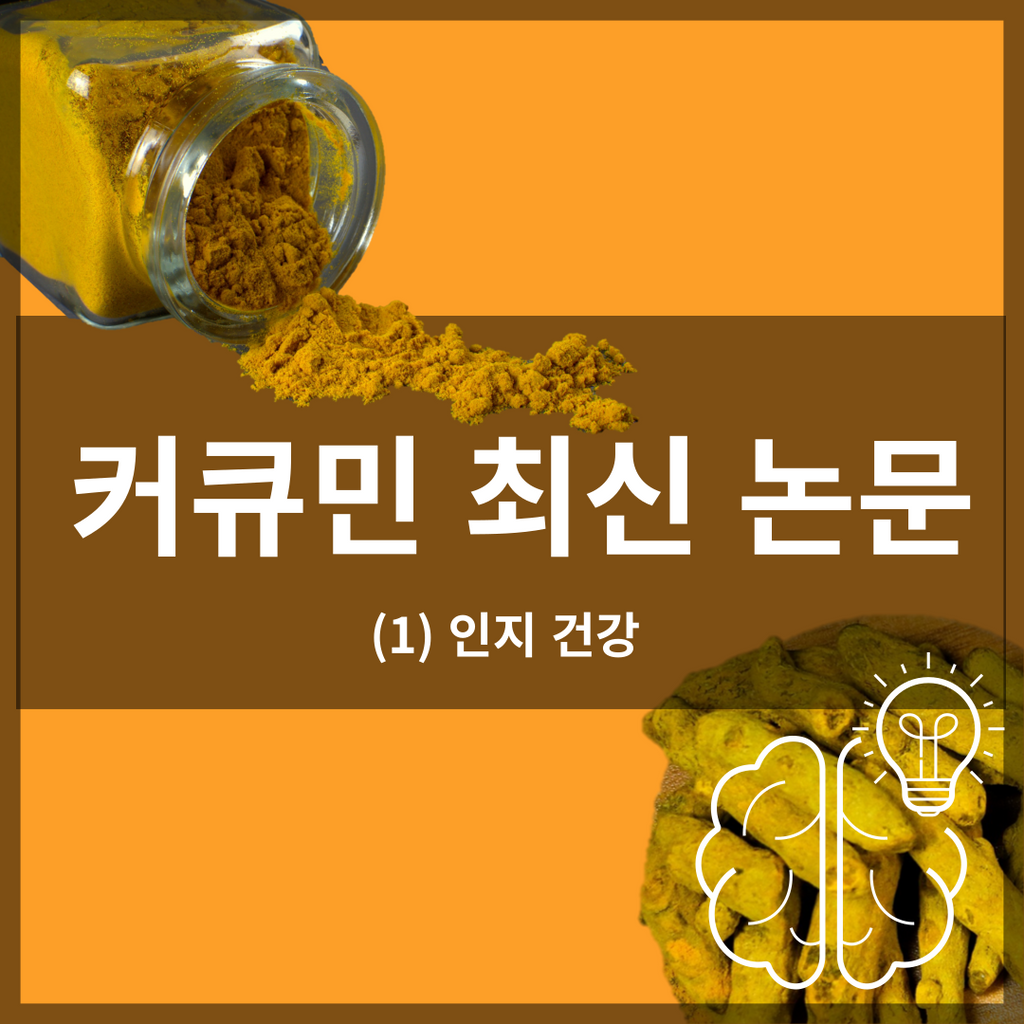 커큐민 최신 논문 1: 인지 능력