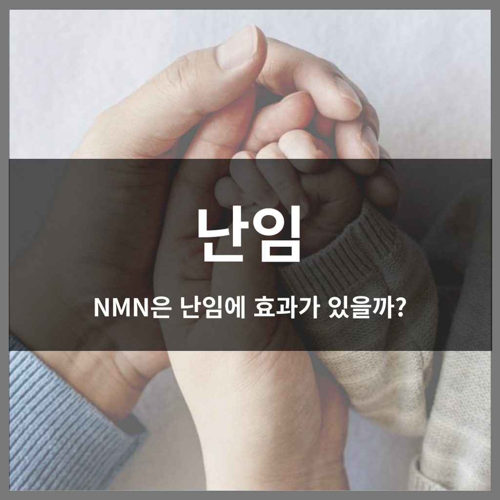 난임, NMN 난임에 효과가 있을까?