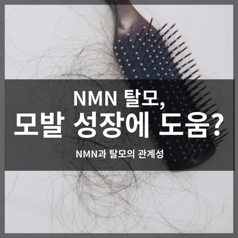 NMN 탈모, NMN 모발 성장에 도움?