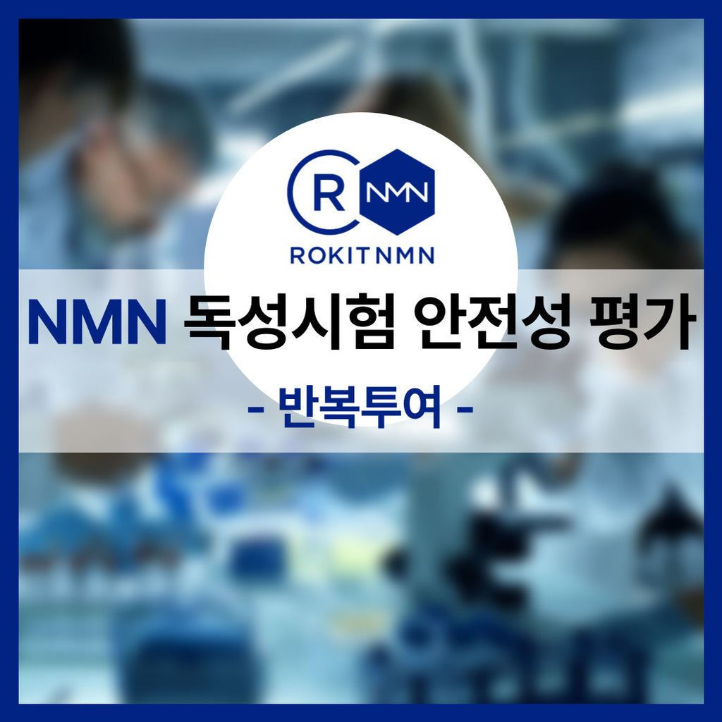 [로킷아메리카 연구자료] NMN 독성시험 안전성 평가 - 반복투여