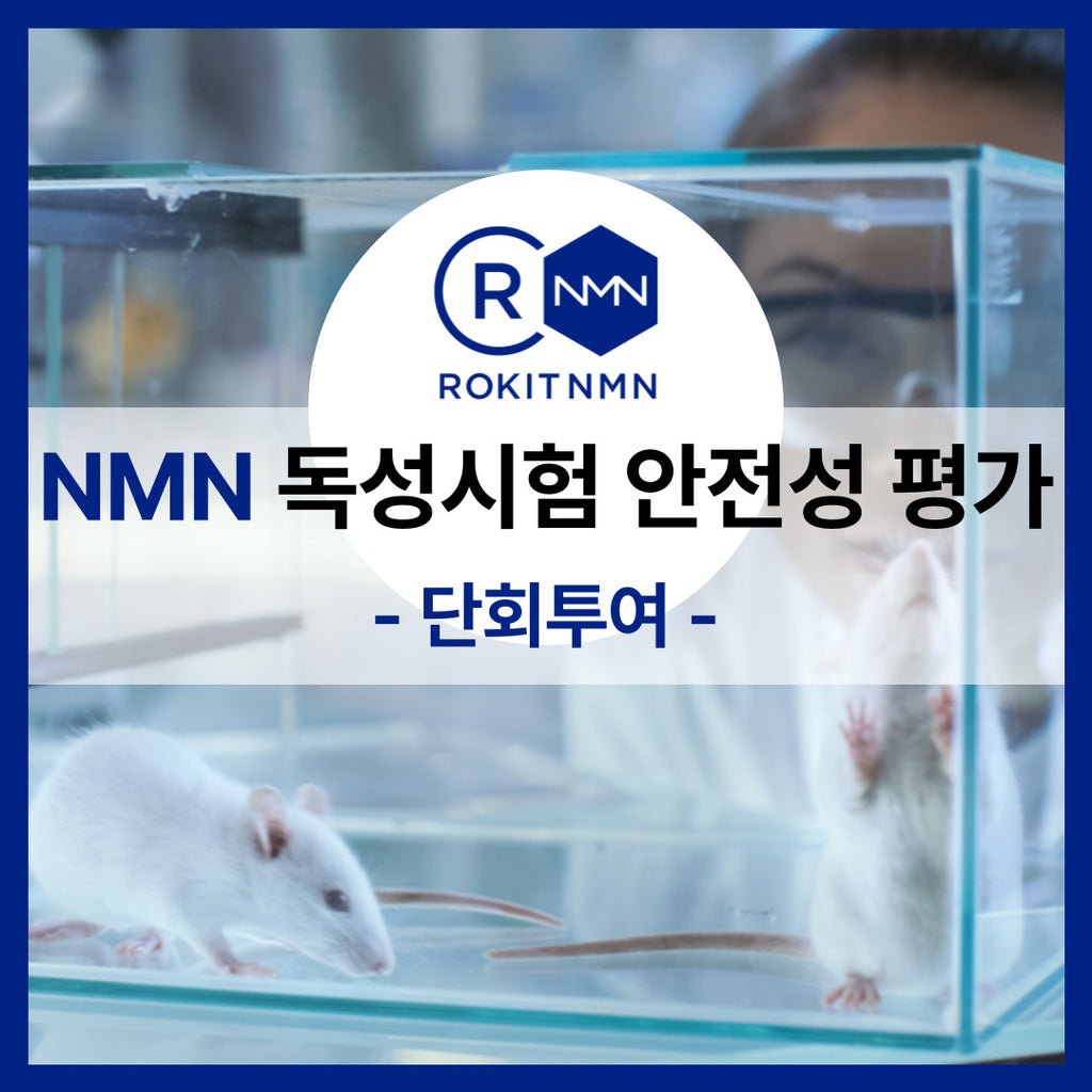 [로킷아메리카 연구자료] NMN 독성시험 안전성 평가 - 단회투여