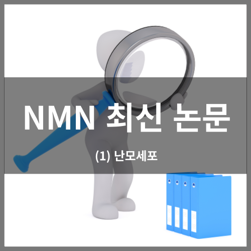 NMN 최신 논문 (1) 난모세포