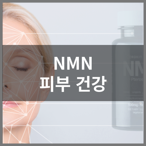 NMN 피부건강에 효과 있을까?