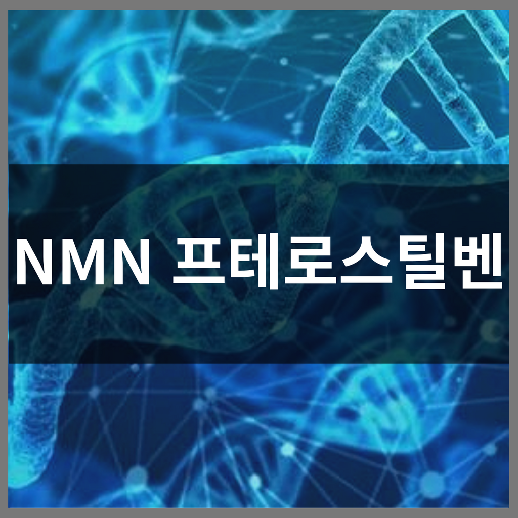 NMN의 효능을 극대화 하는 배합 구성
