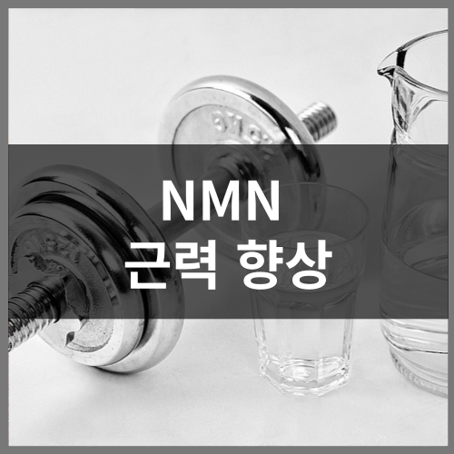 NMN 근력 향상에 효과 있을까?