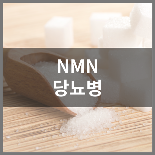 NMN 당뇨병에 효과 있을까?